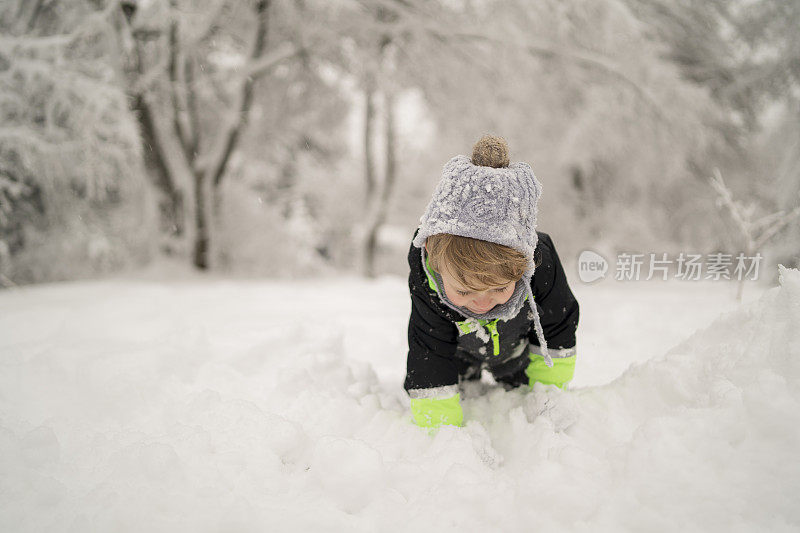 孩子们在雪中玩耍