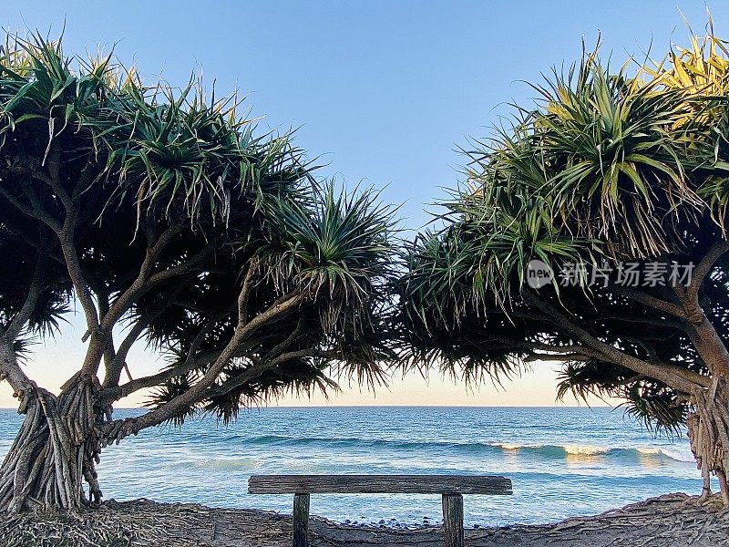 热带树木之间的海滩公园长椅