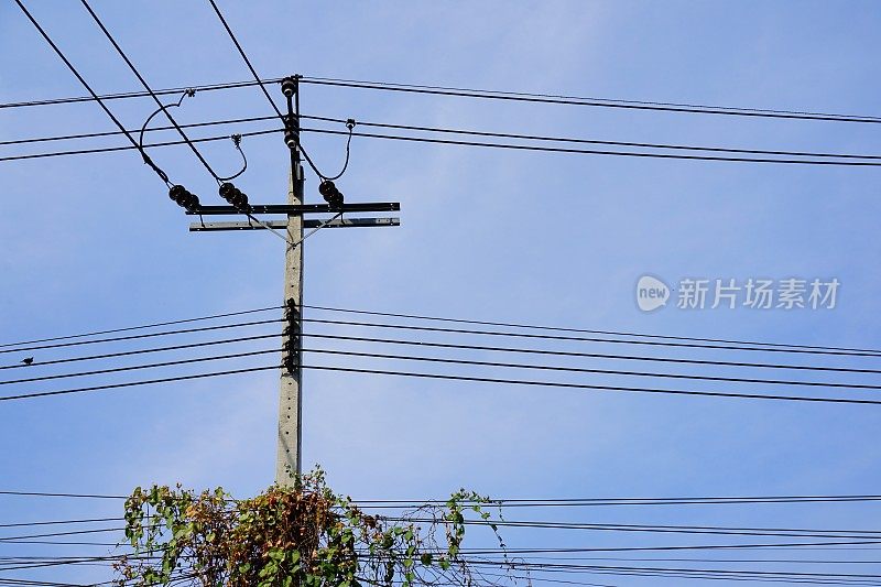缠结的电线与电力电缆电力天空的背景