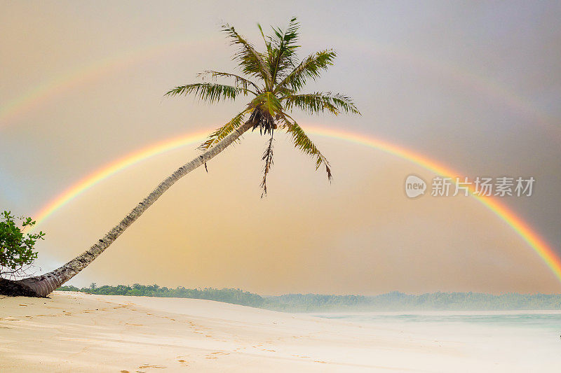 马那哈岛，塞班岛双彩虹后的沙滩上棕榈树椰树