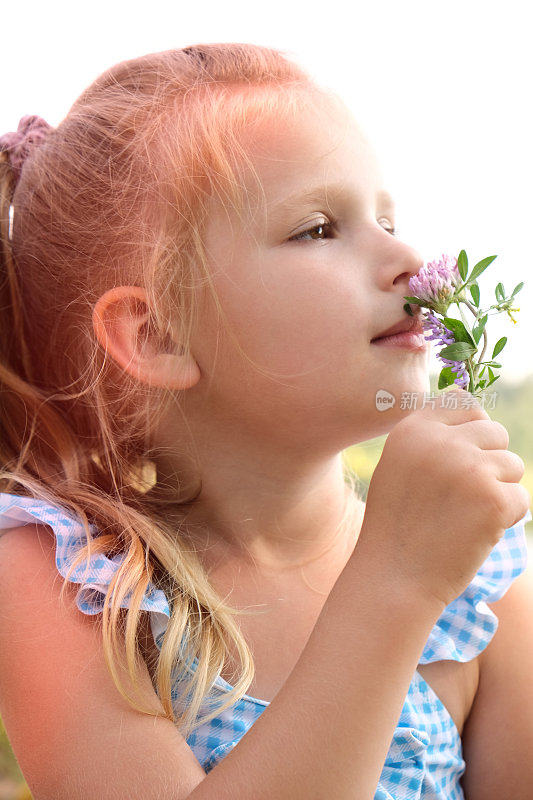 小女孩在田野里摘夏天的花。快乐的孩子在户外享受大自然。阳光下的小女孩闻着夏日的花朵