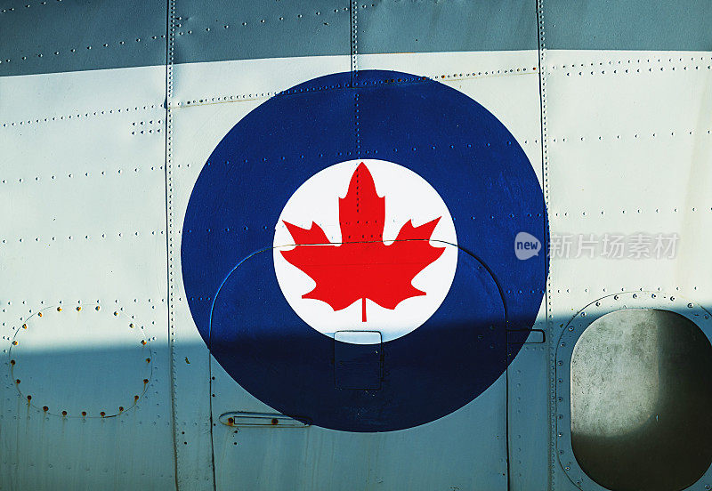 加拿大皇家空军的飞机