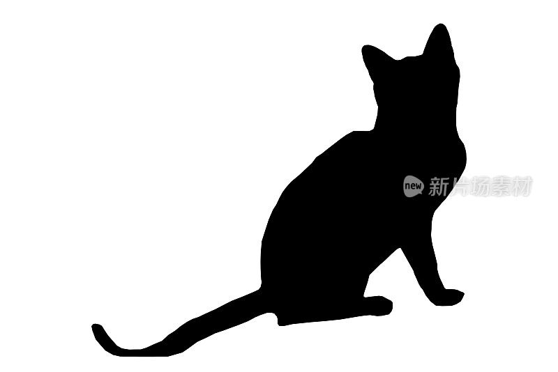 黑猫的轮廓在白色的背景