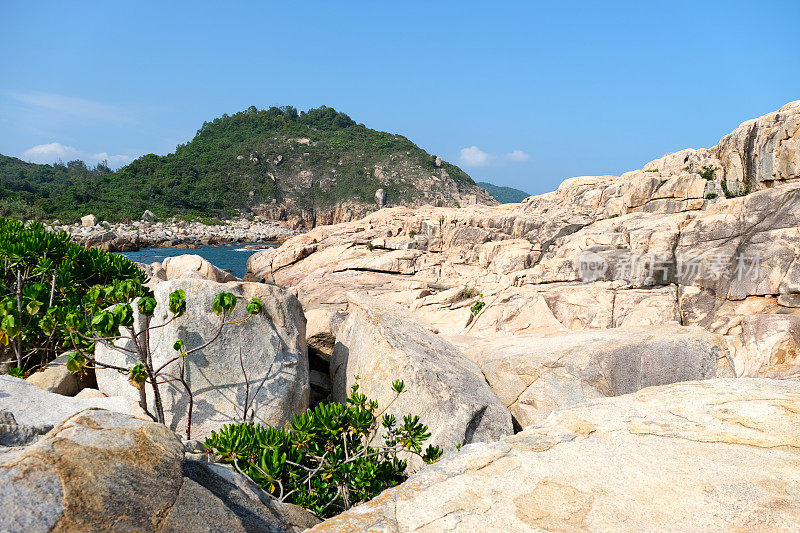位于香港南丫岛榕树下的岩石海岸线