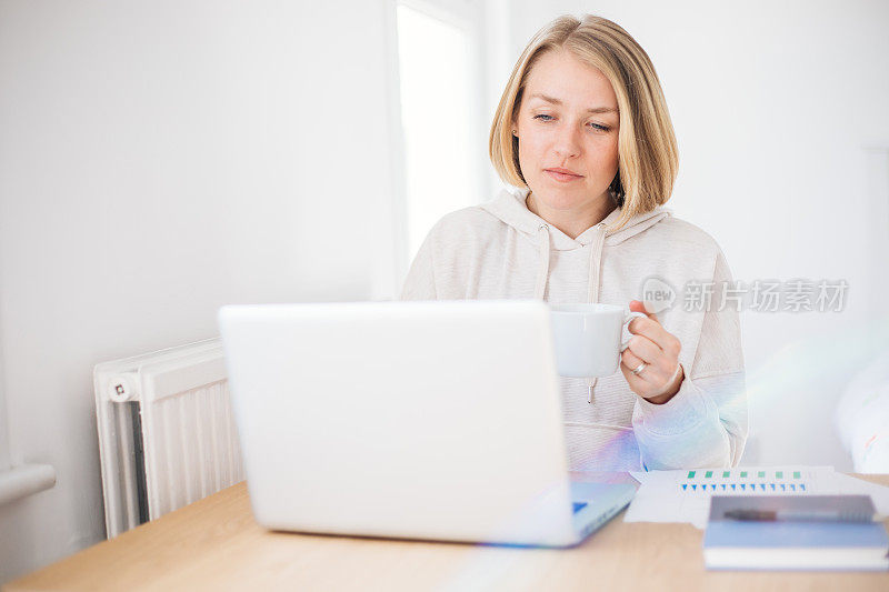 女人在家里用笔记本电脑