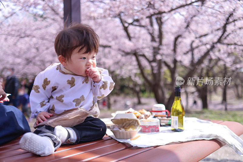 年轻的母子在樱花下吃午饭