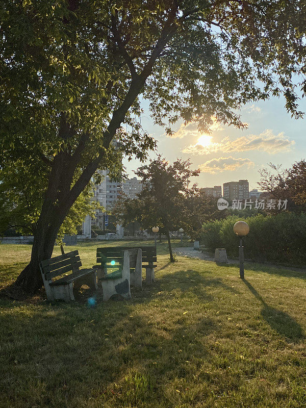 舒适的夏季公园