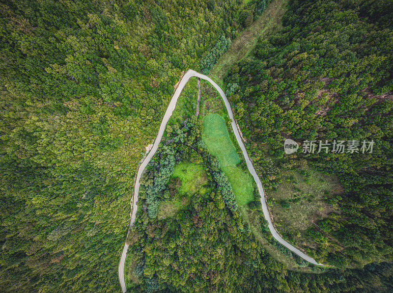 蜿蜒的道路穿过一片翠绿的松林。