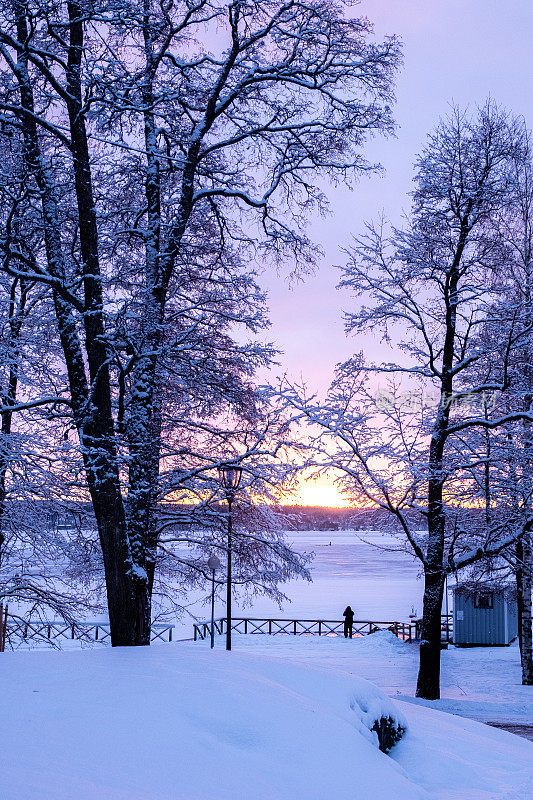 冬季景观，城市公园和树木在雪和白霜。日落