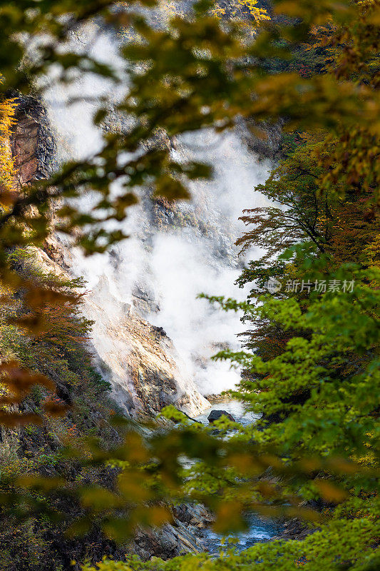 温泉蒸汽从山上的山谷森林地面冒出