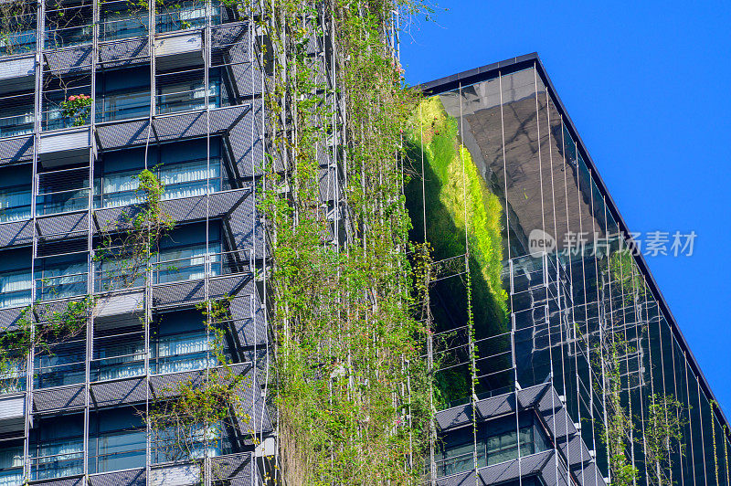 蓝天背景下的城市绿色生态建筑