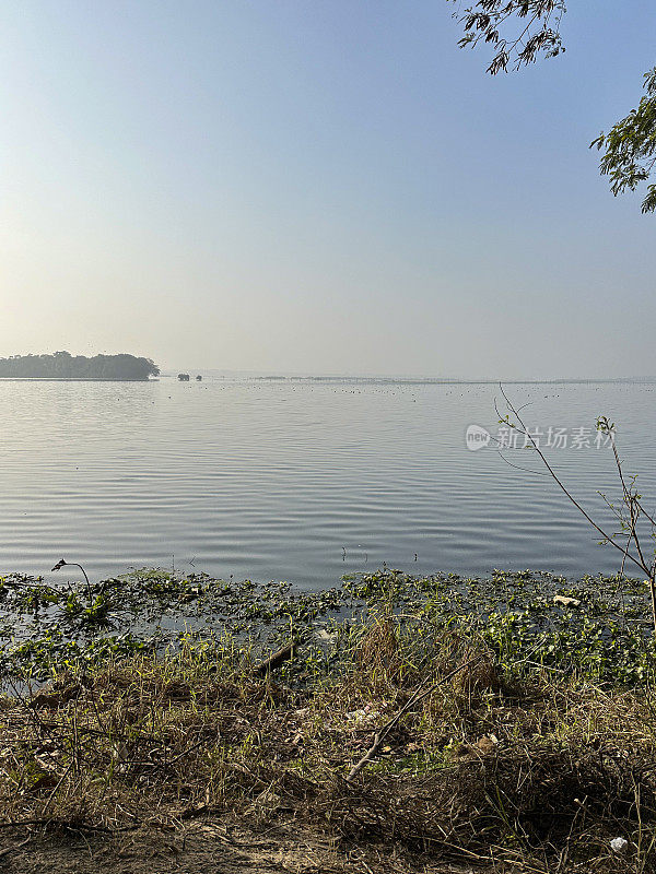 鸟类保护区湿地湖泊特写，沼泽芦苇床，野生动物保护区，环境保护