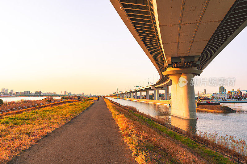 东京大都会高速公路葛饰琴桥