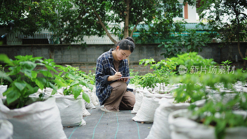 一位农场女工用她的数字平板电脑检查她的植物，并检查花园里作物的信息。