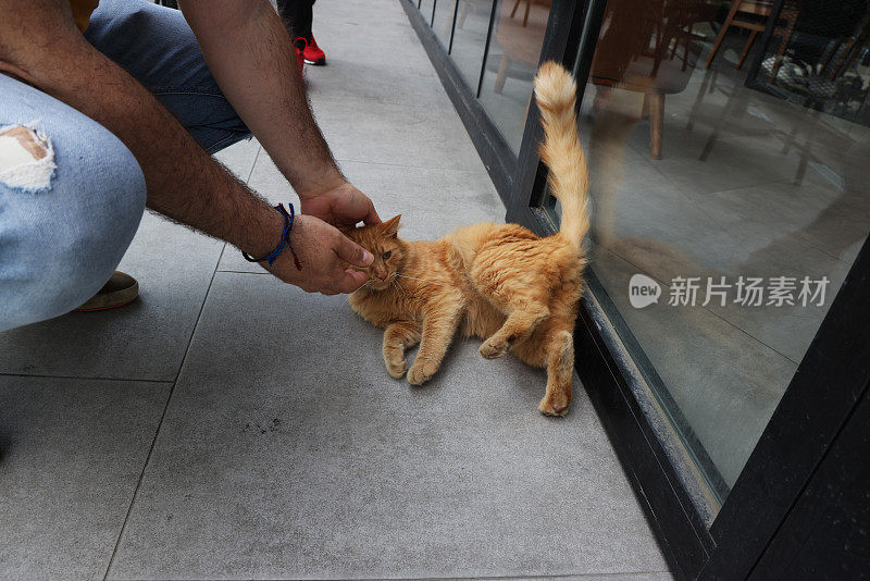 男人和他的猫在一起