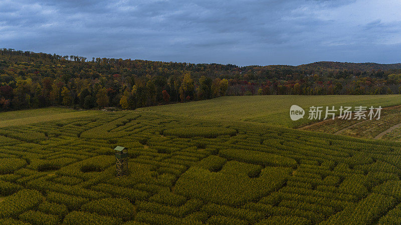 宾夕法尼亚州，波克诺斯地区，秋天万圣节的玉米迷宫。