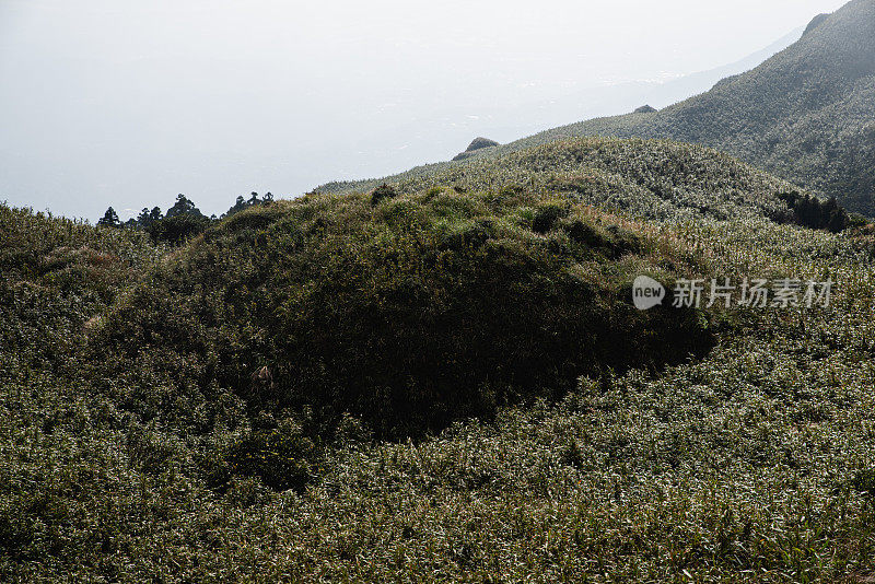 黎明时分的阳明山国家公园