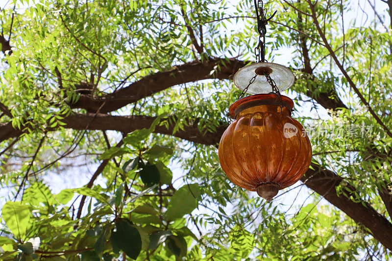 户外橙色玻璃的图像，吊灯灯罩挂在一个链从树枝，树叶和细枝，阳光明媚的蓝天背景，从下面看