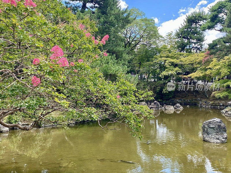 日本-京都-丸山公园