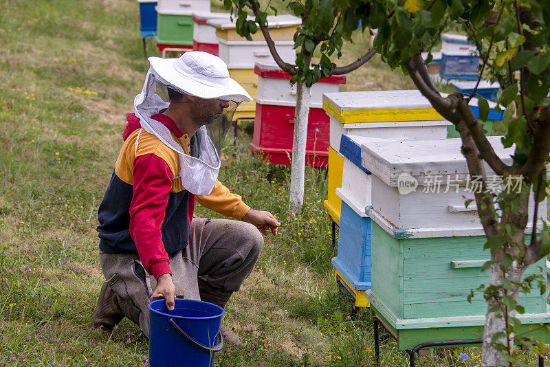 一位年轻的养蜂人正在整理他的蜂箱。