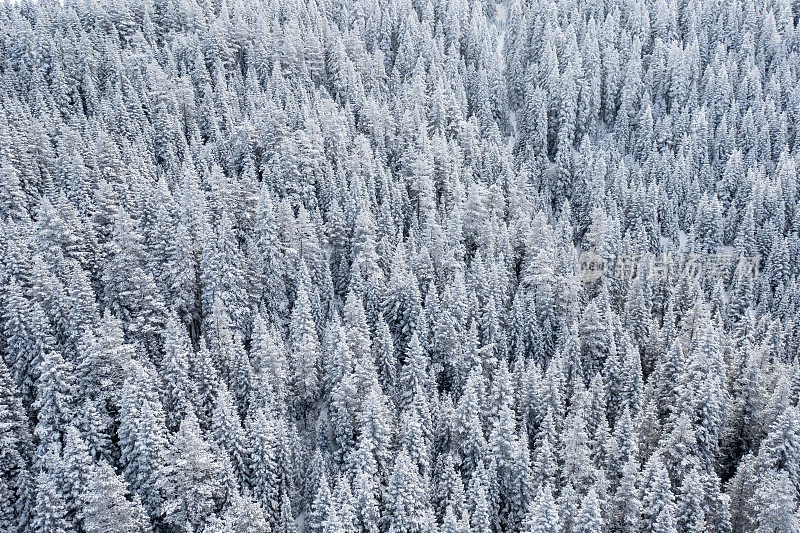 无人机拍摄的雪山鸟瞰图