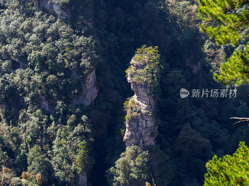 中国张家界国家森林公园的阿凡达山脉。这个国家公园是电影《阿凡达》的灵感来源