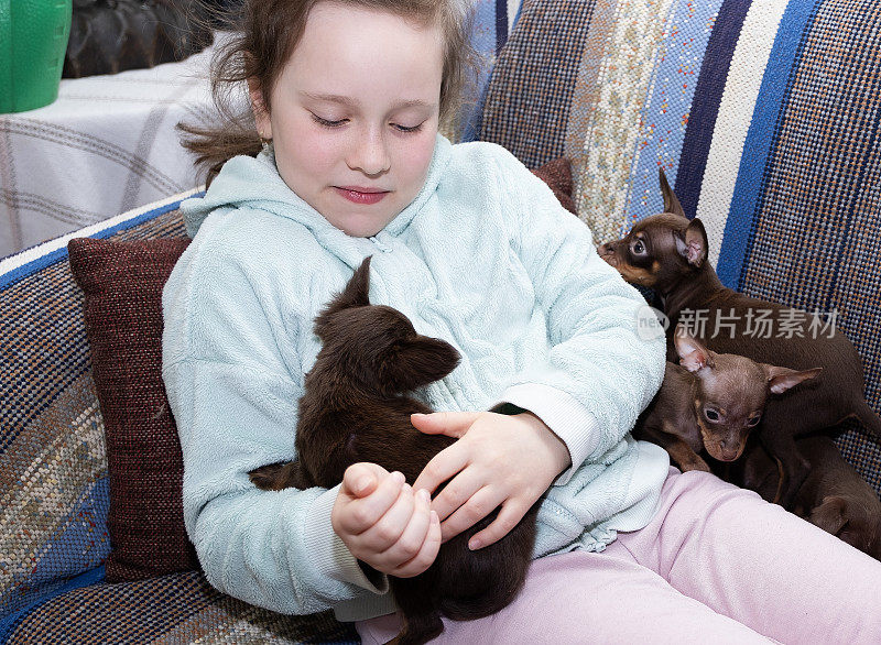 一个8岁的高加索女孩拥抱和抚摸布拉格鼠狗的小狗。