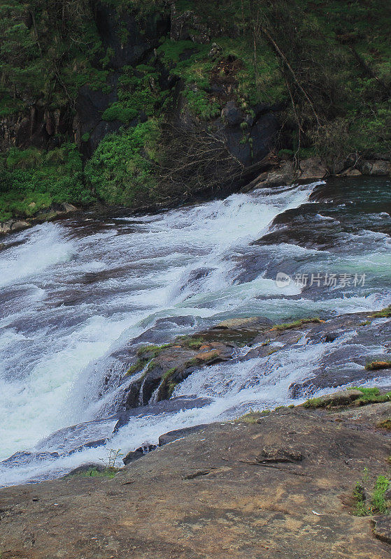 美丽的pykara瀑布或急流，被茂密的绿色森林环绕，位于印度南部泰米尔纳德邦ooty山站附近的nilgiri山麓