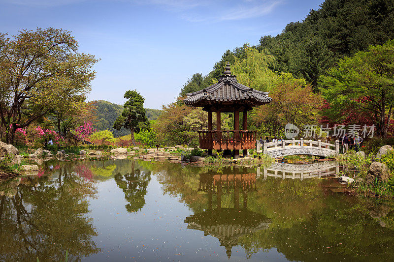 湖中的韩国亚洲寺庙