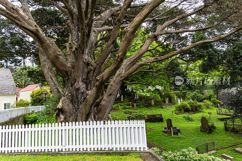 新西兰惠灵顿的博尔顿街纪念公园以前被称为博尔顿街公墓。
