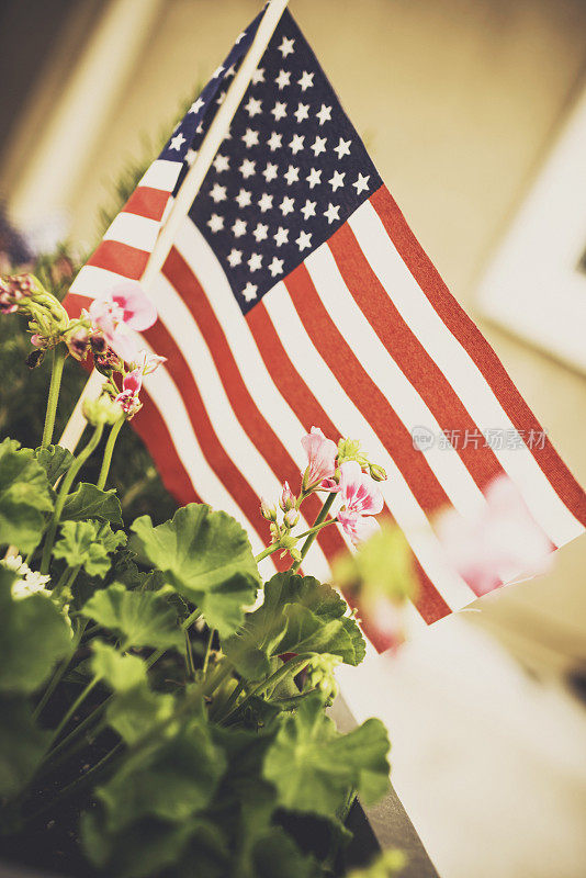 7月4日的装饰。带着美国国旗的种植园主。独立日。
