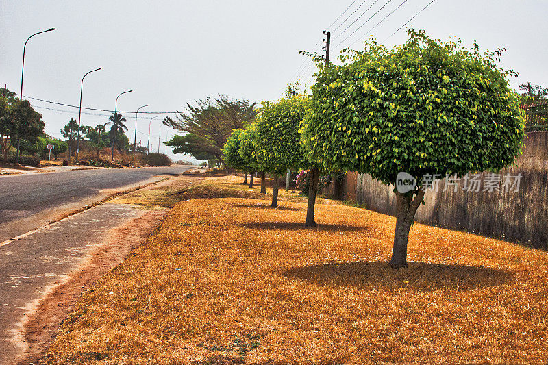 象牙海岸科霍戈的主要街道