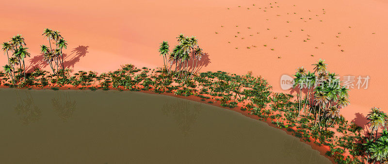 沙漠中的绿洲