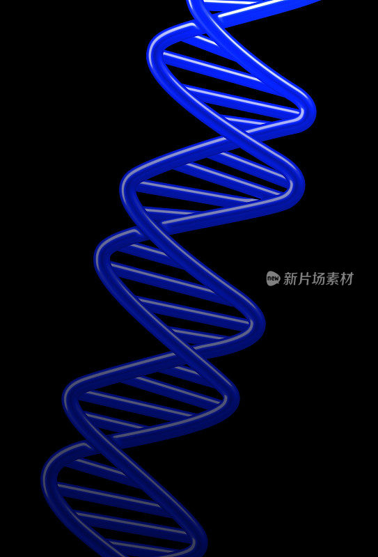 蓝色DNA