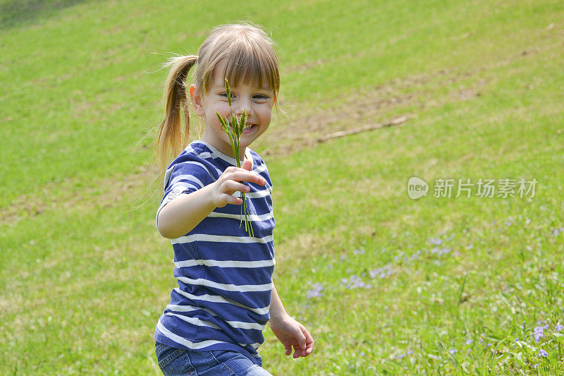 收集野花的小女孩