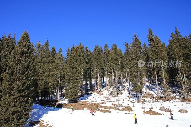 冬季奥地利萨尔巴赫马戏团滑雪胜地