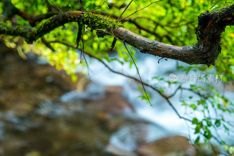 高山流水