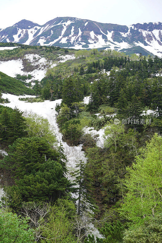 大屿山国家公园通往北海道Tokachidake活火山的路