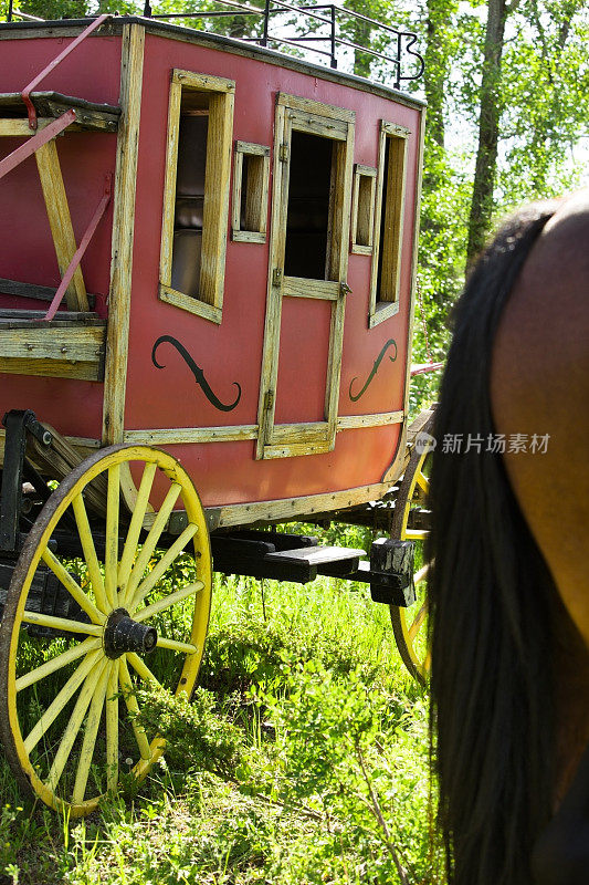 交通工具:狂野西部时代的老式乡村马车。