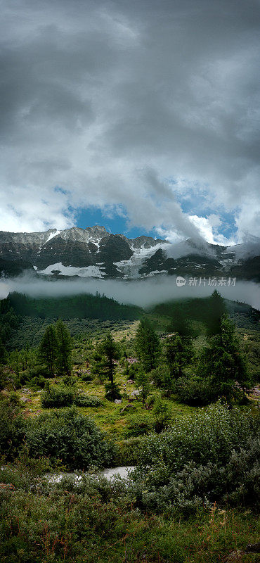 阿尔卑斯山的垂直全景