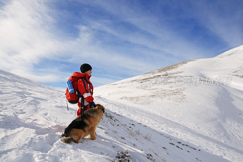 年轻的徒步者和狗站在山上