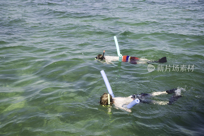 儿童浮潜佛罗里达西礁岛
