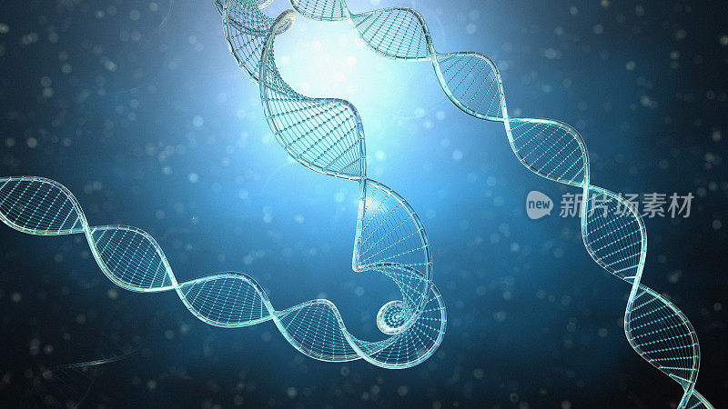 暗背景上的DNA序列
