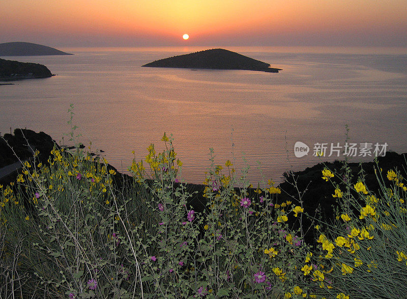 黄昏掠过大海，岛屿和鲜花