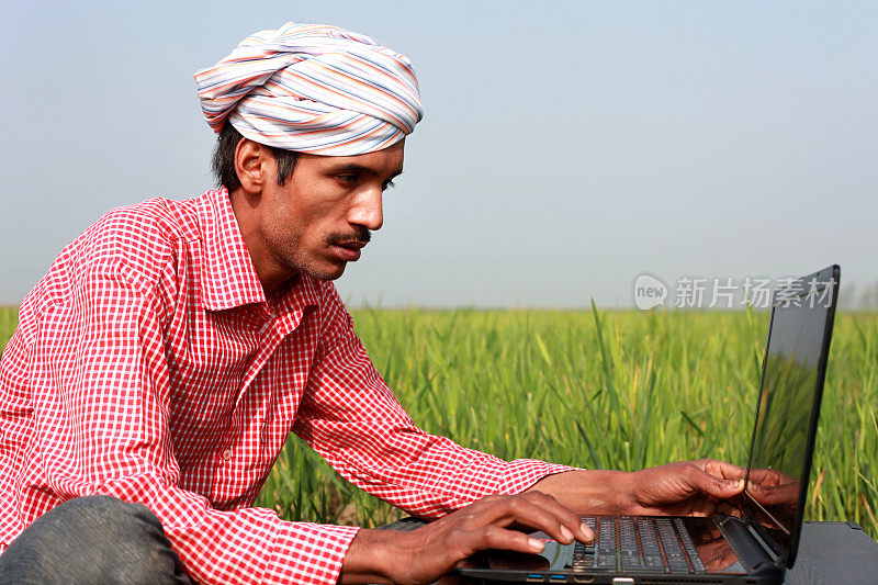 农民在绿色的田野里用笔记本电脑工作。