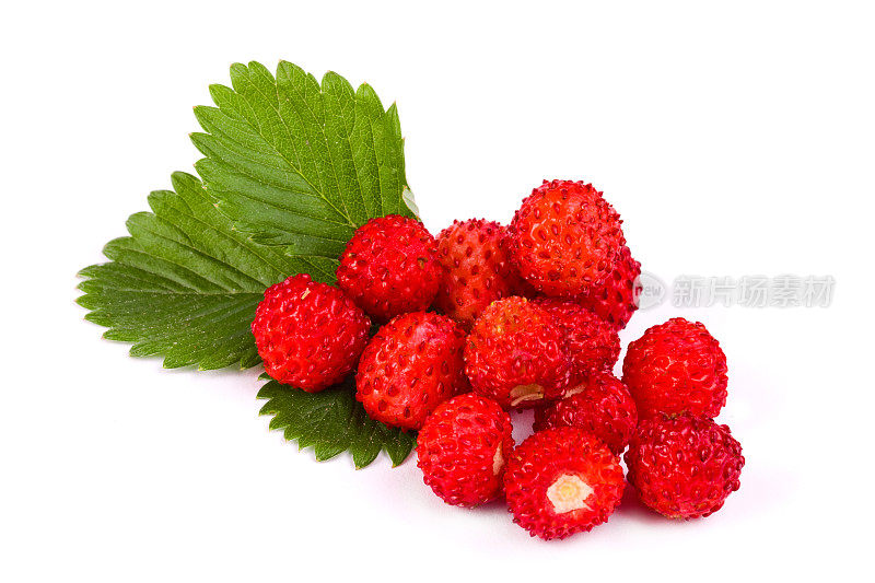 孤立的水果-野草莓
