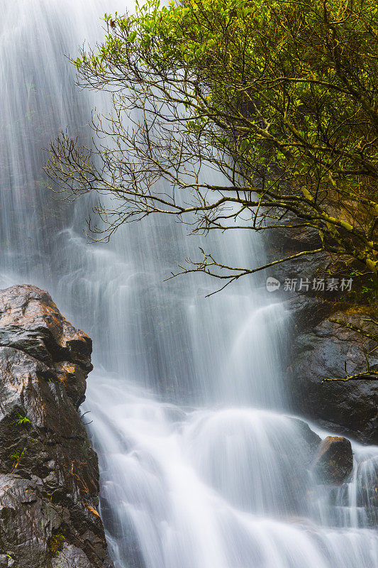 中国桂林华坪自然保护区的瀑布