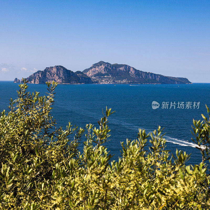 卡普里岛，那不勒斯湾，意大利