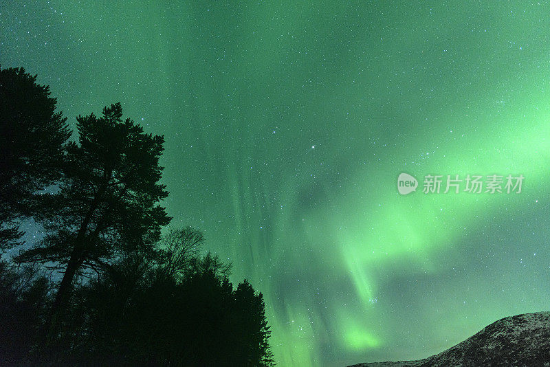 冬天，挪威韦斯特伦海岸上空的北极光