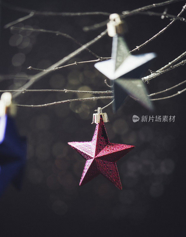 圣诞星星饰品挂在银枝上，用散蜡装饰